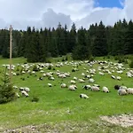 شقة Alpin