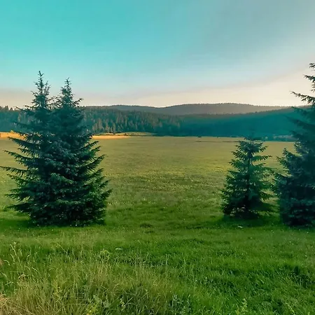 Alpin * Vlašić