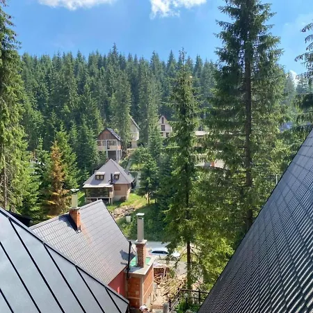 Alpin Wellness &