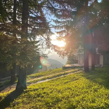 アパート Alpin ヴラシチ