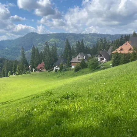 アパート Alpin ヴラシチ