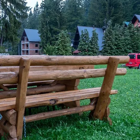 Apartment Alpin